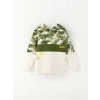 LCW Kids Yeşil Kapüşonlu Baskılı Uzun Kollu Erkek Çocuk Sweatshirt