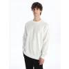 LCW Vision Ekru Bisiklet Yaka Uzun Kollu Erkek Dokulu Sweatshirt