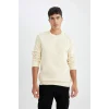 T3777 Regular Fit Bisiklet Yaka Basic Düz Sweatshirt