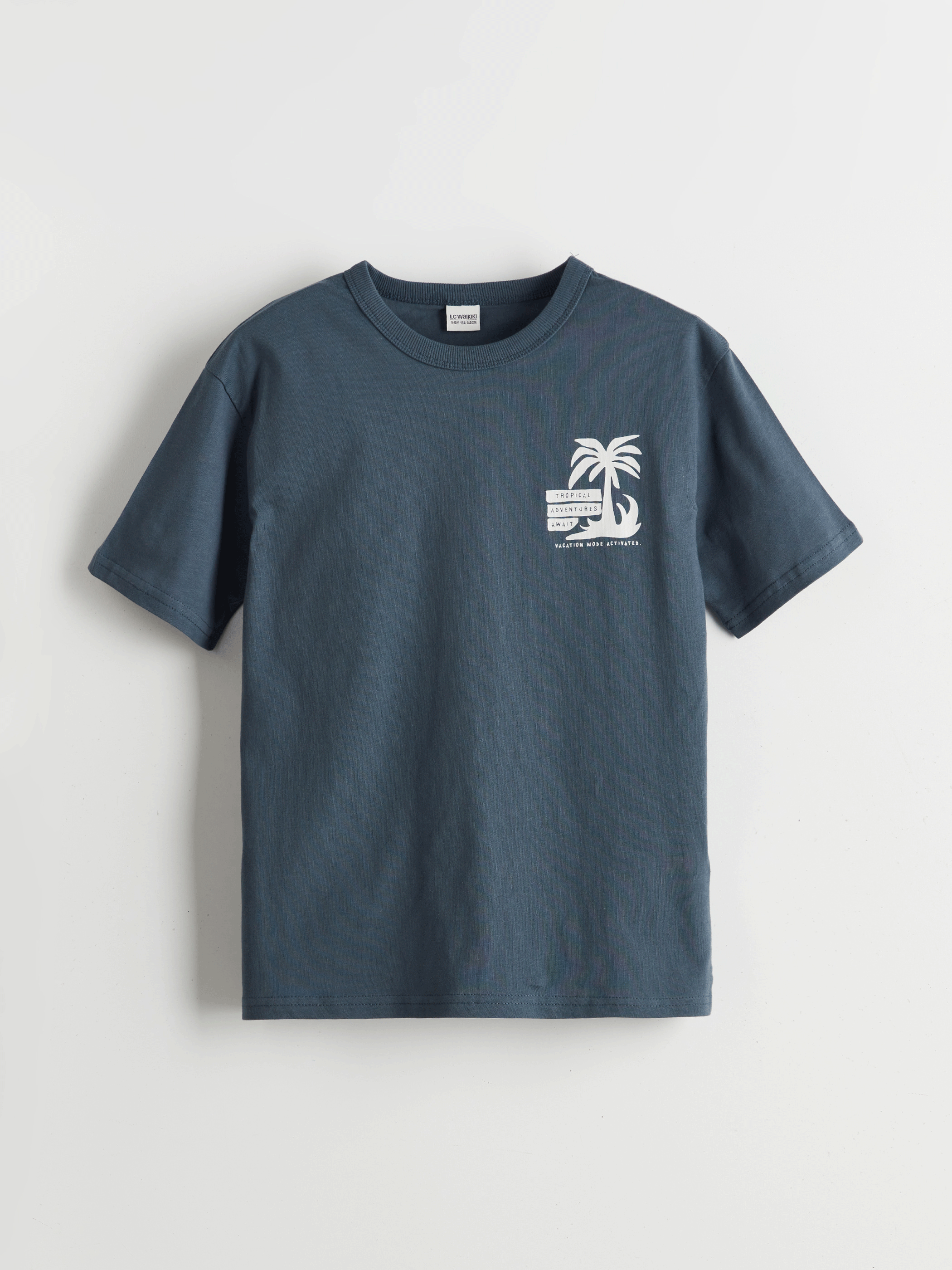 LCW Kids İndigo Bisiklet Yaka Erkek Çocuk Tişört