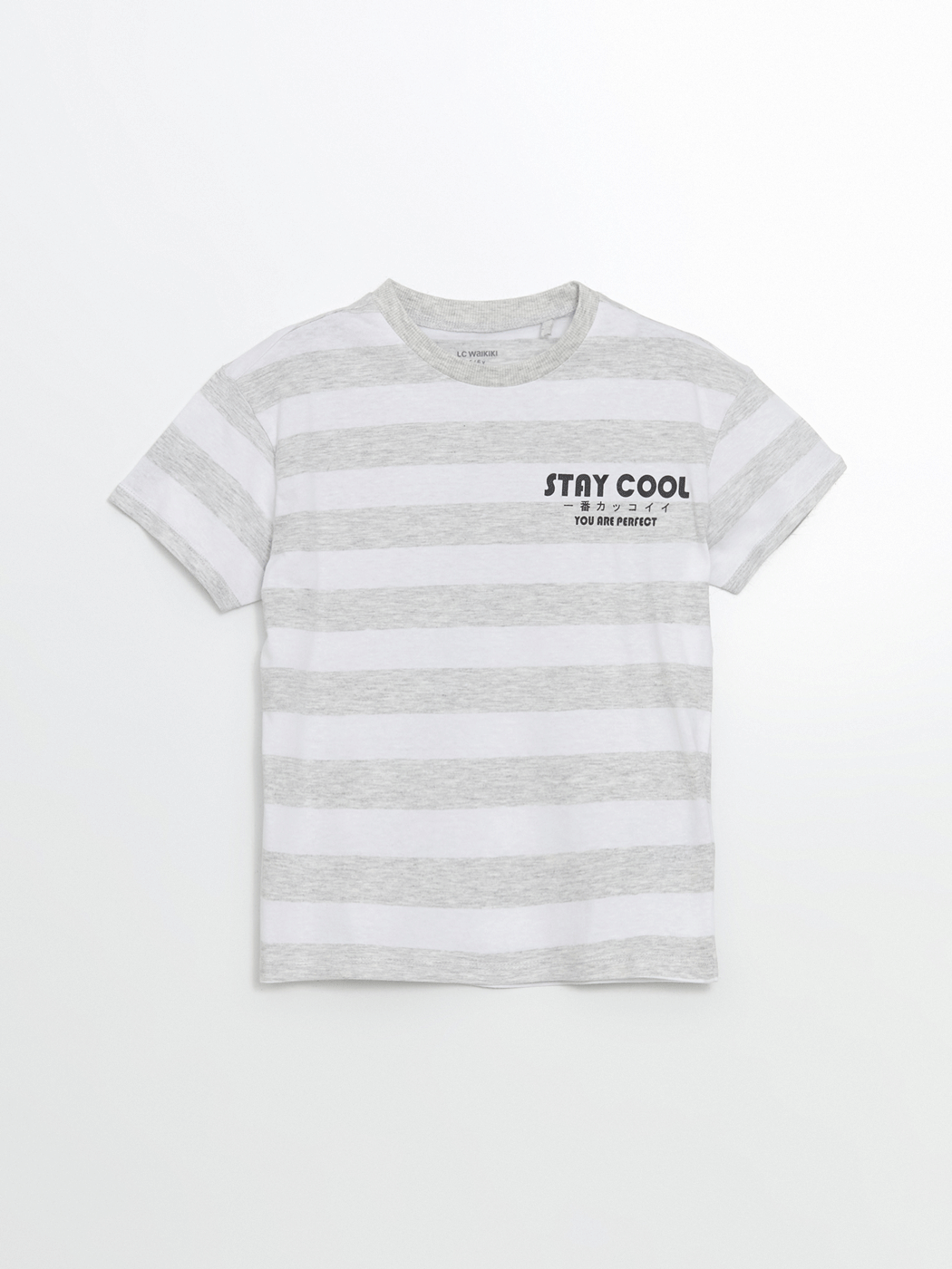 LCW Kids Karışık Bisiklet Yaka Çizgili Erkek Çocuk Tişört