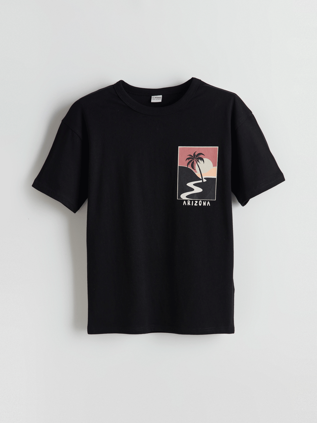 LCW Kids Siyah Bisiklet Yaka Erkek Çocuk Tişört