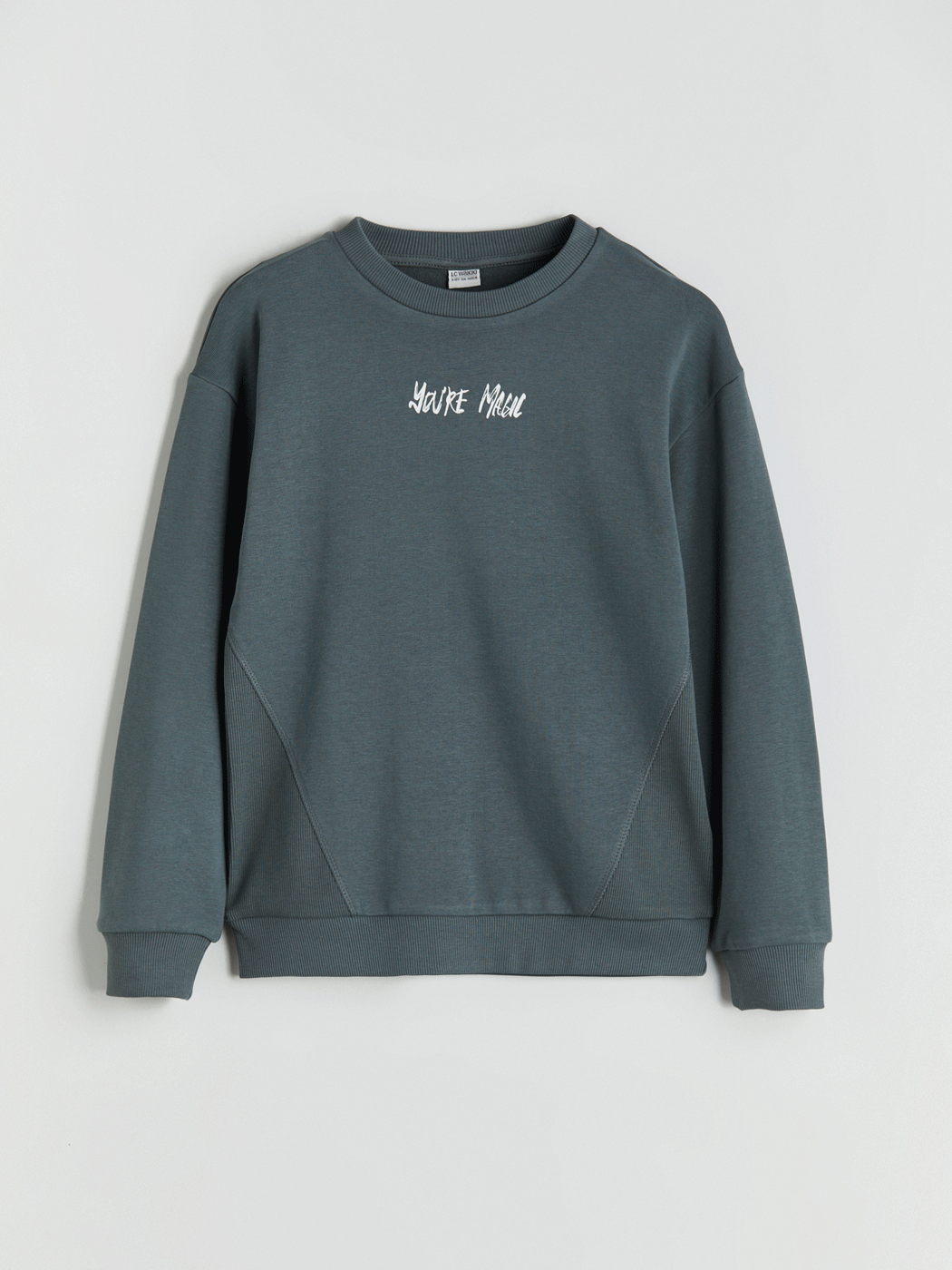 LCW Kids Gri Bisiklet Yaka Baskılı Erkek Çocuk Sweatshirt