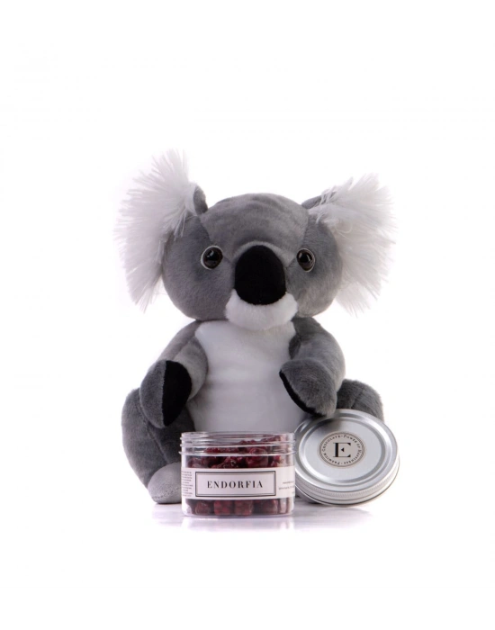 Sevimli Koala & Böğürtlen Draje