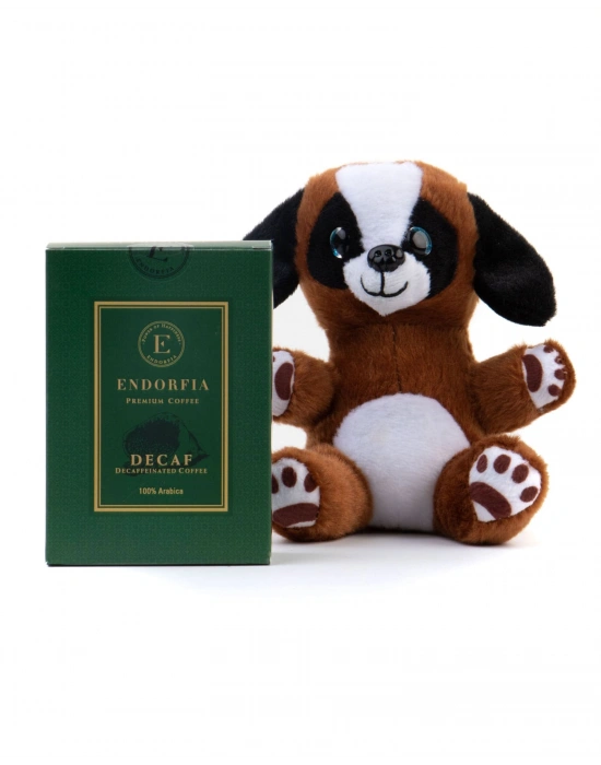 Sevimli Yavru Köpek ve Decaf(Kafeinsiz) Filtre Kahve