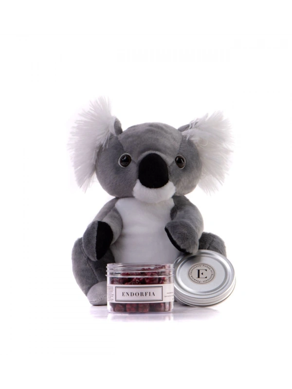 Sevimli Koala & Böğürtlen Draje