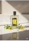 Endorfia Linden (Ihlamur) Kolonyası 100 ml