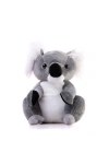 Sevimli Koala & Böğürtlen Draje