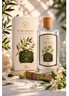 Zeytin Çiçeği Kolonyası 80 Derece 200 ML