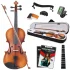 Fourtune Dante VL-200SBR 4/4 Akustik Keman Seti (Tam Boy-Açık Kahve)