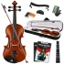 Fourtune Dante VL-200SBR Parlak 4/4 Akustik Keman Seti (Tam Boy)