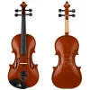Fourtune Dante VL-200SBR Parlak 4/4 Akustik Keman Seti (Tam Boy)