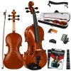 Fourtune Dante VL-200SBR Parlak 4/4 Akustik Keman Seti (Tam Boy)