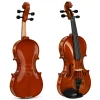 Fourtune Dante VL-200SBR Parlak 4/4 Akustik Keman Seti (Tam Boy)
