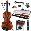 Fourtune Dante VL-200SBR Parlak 4/4 Akustik Keman Seti (Tam Boy)