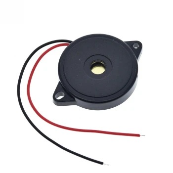 Pasif Buzzer 30X5.5 MM