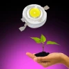 1W Power Led Full Spektrum Grow Led - Bitkilere Özel