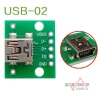 Mini USB - DIP Dönüştürücü Kartı