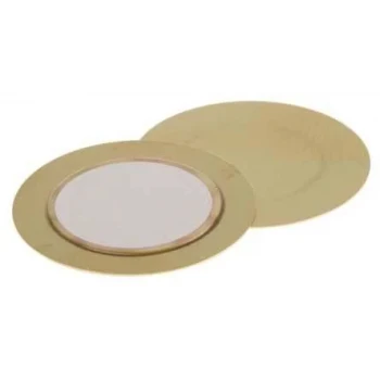 Piezzo Buzzer 50mm Piezo Kablosuz