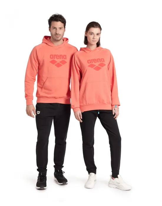 ARENA GRAPHIC UNISEX HOODIE 007230900