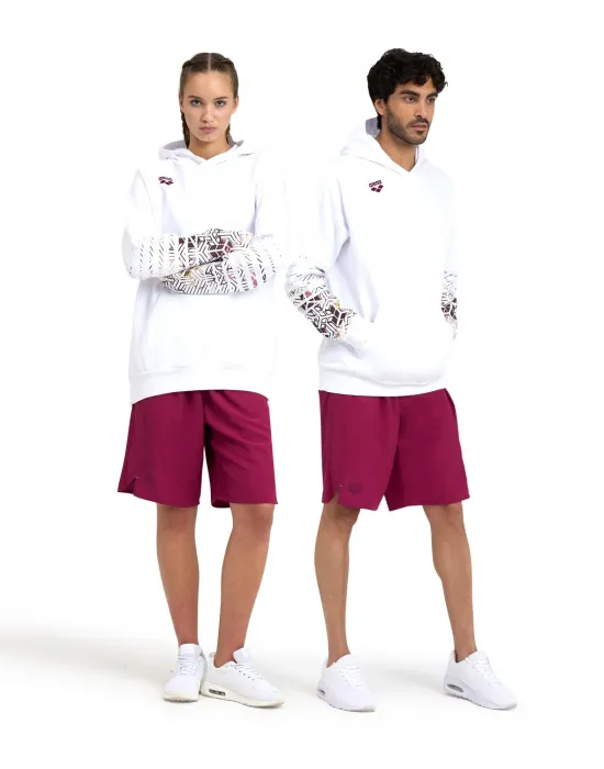 ARENA LOGO UNISEX HOODIE 005335103