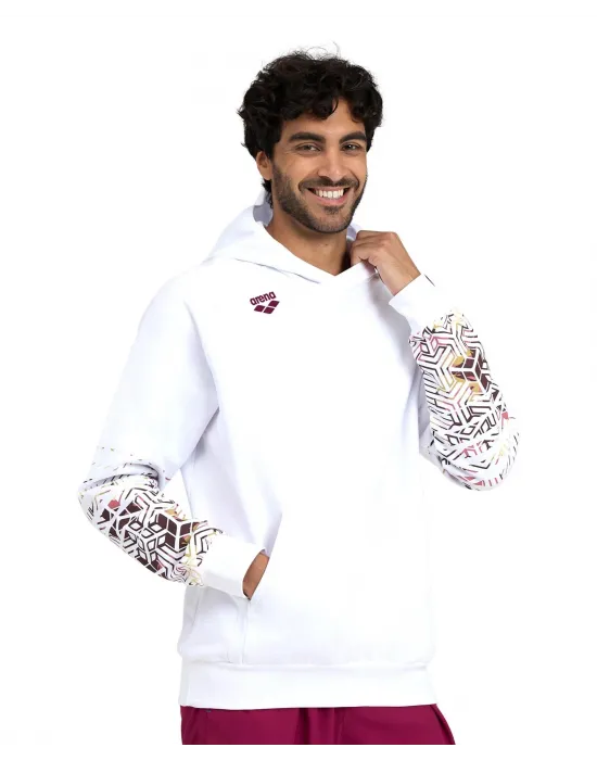 ARENA LOGO UNISEX HOODIE 005335103