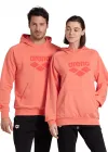 ARENA GRAPHIC UNISEX HOODIE 007230900