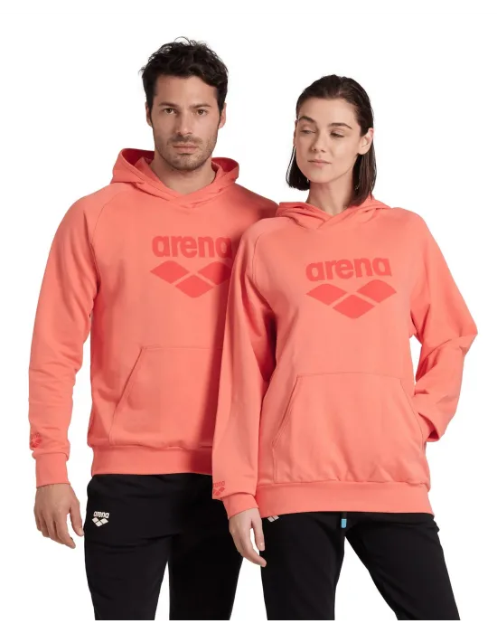 ARENA GRAPHIC UNISEX HOODIE 007230900