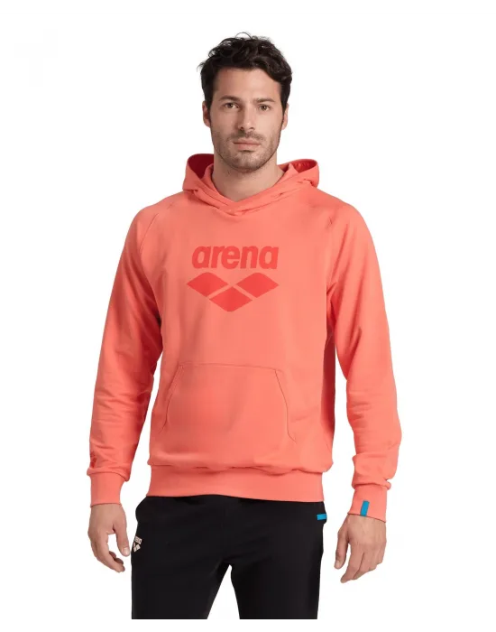 ARENA GRAPHIC UNISEX HOODIE 007230900