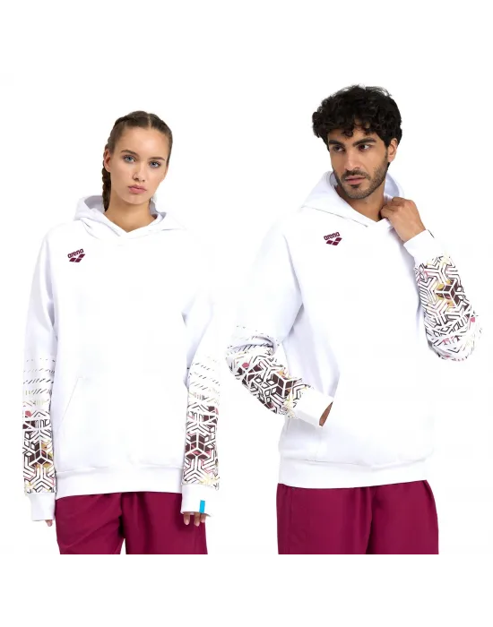 ARENA LOGO UNISEX HOODIE 005335103