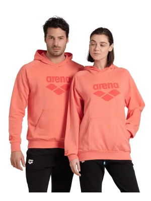 ARENA GRAPHIC UNISEX HOODIE 007230900
