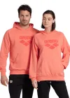 ARENA GRAPHIC UNISEX HOODIE 007230900