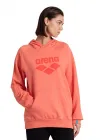 ARENA GRAPHIC UNISEX HOODIE 007230900