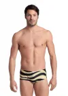 ARENA MULTI STRIPES ERKEK YÜZÜCÜ MAYOSU 007238510