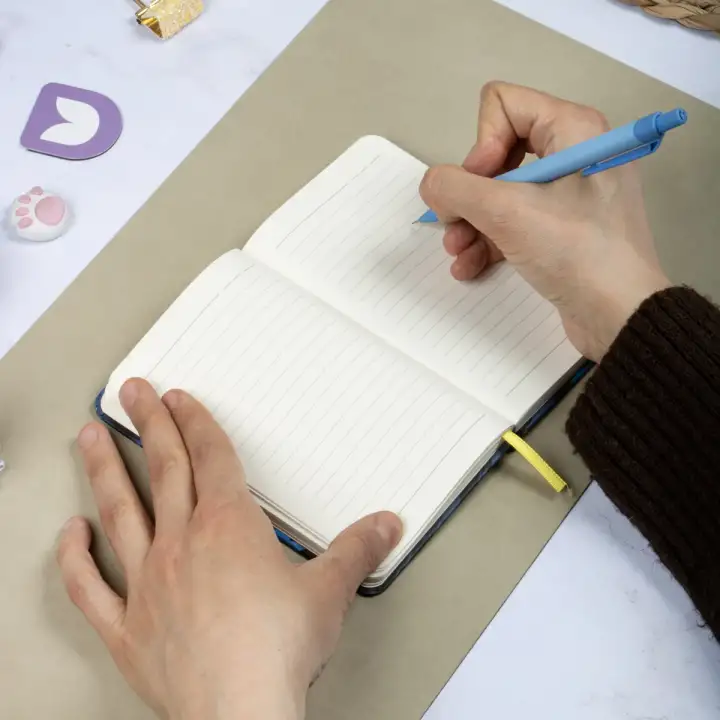 9x14 cm Sert Kapak Çizgili Tarihsiz Dikişli Not Okul Defteri - Meow Kedili 1