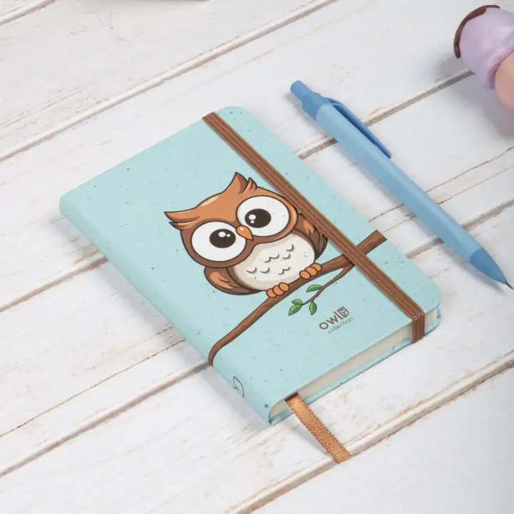 9x14 cm Sert Kapak Çizgili Tarihsiz Dikişli Not Okul Defteri - Baykuş 1