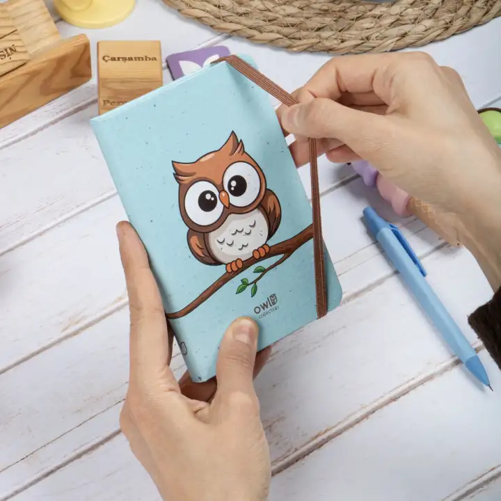 9x14 cm Sert Kapak Çizgili Tarihsiz Dikişli Not Okul Defteri - Baykuş 1