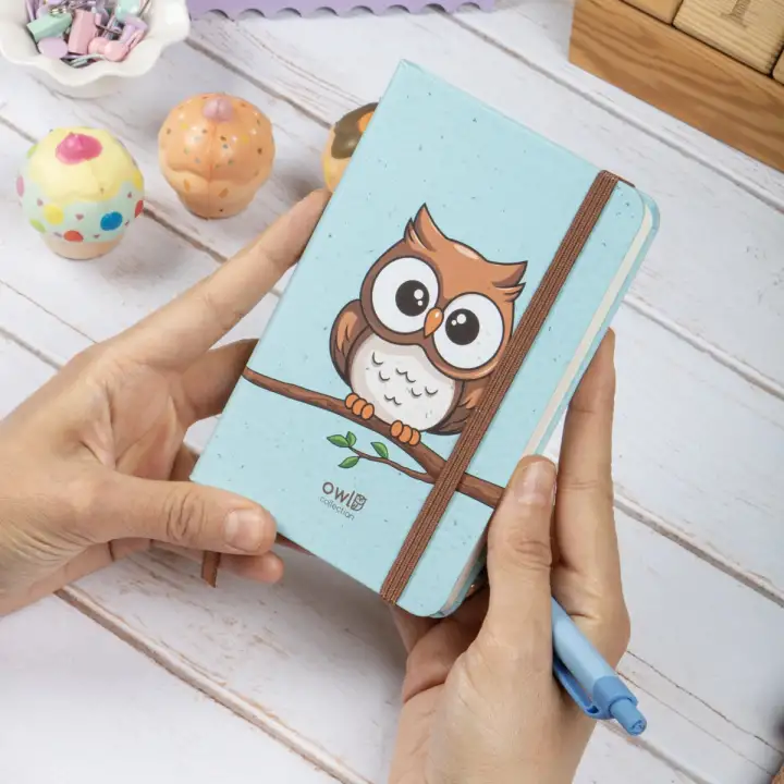 9x14 cm Sert Kapak Çizgili Tarihsiz Dikişli Not Okul Defteri - Baykuş 1