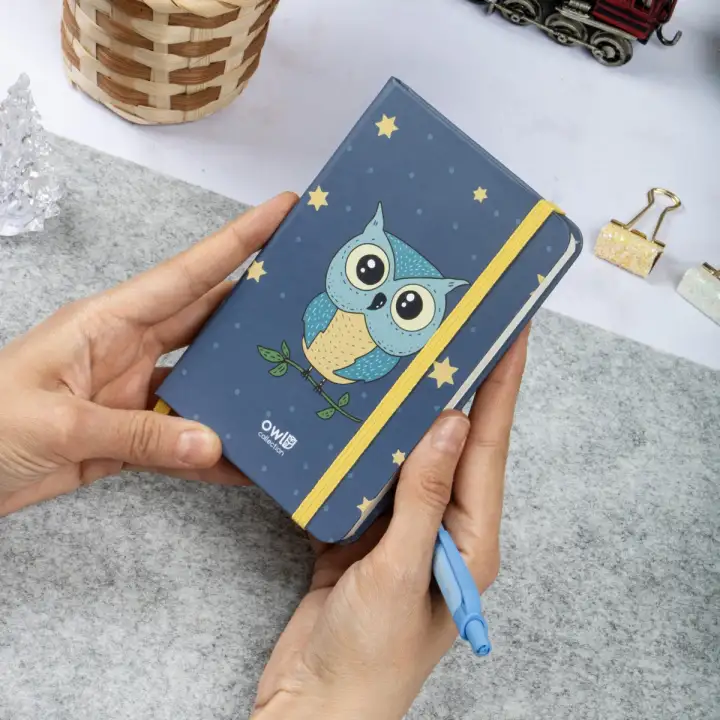 9x14 cm Sert Kapak Çizgili Tarihsiz Dikişli Not Okul Defteri - Baykuş 2