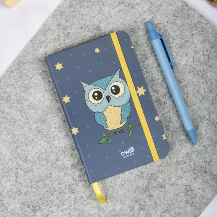 9x14 cm Sert Kapak Çizgili Tarihsiz Dikişli Not Okul Defteri - Baykuş 2