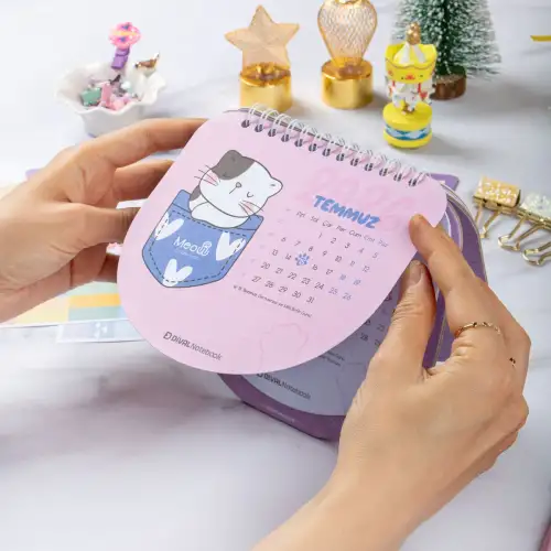 2026 Kedili Hacıyatmaz Masa Takvimi - Meow Kedi Serisi