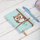 9x14 cm Sert Kapak Çizgili Tarihsiz Dikişli Not Okul Defteri - Baykuş 1