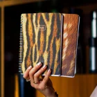 Karton Kapak Spiralli Kareli Okul Defteri A5 4’lü Vahşi Doğa Serisi – Leopar, Zebra, Ceylan ve Kaplan