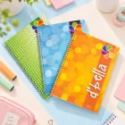 PP Plastik Kapak Spiralli Kareli Okul Defteri A4 3’lü - Dbella