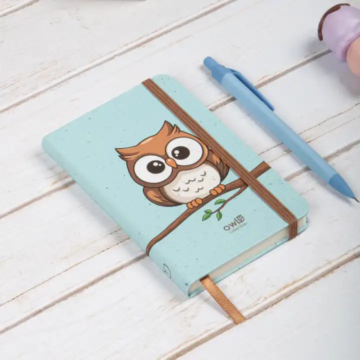 9x14 cm Sert Kapak Çizgili Not Defteri – Tarihsiz Okul Defteri – Baykuş 1