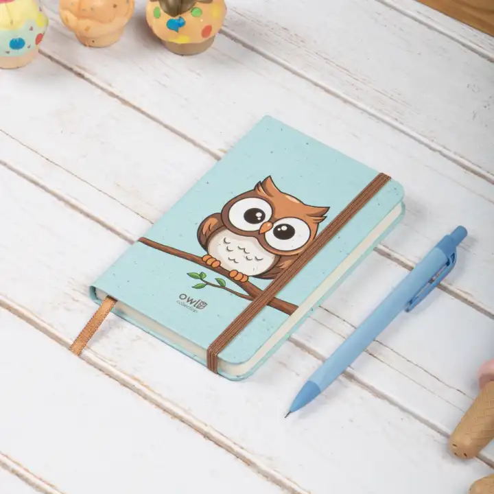 9x14 cm Sert Kapak Çizgili Not Defteri – Tarihsiz Okul Defteri – Baykuş 1