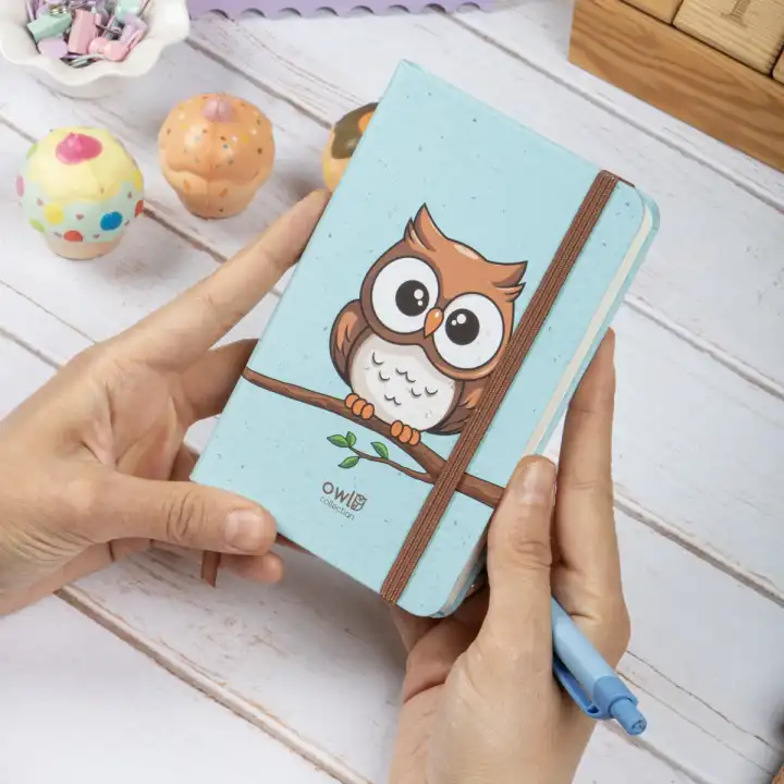 9x14 cm Sert Kapak Çizgili Not Defteri – Tarihsiz Okul Defteri – Baykuş 1