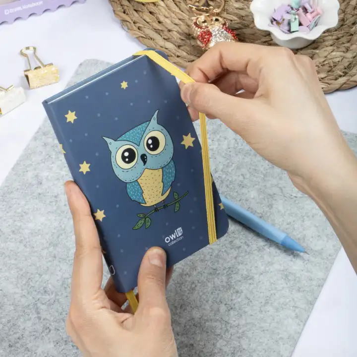 9x14 cm Sert Kapak Çizgili Not Defteri – Tarihsiz Okul Defteri – Baykuş 2