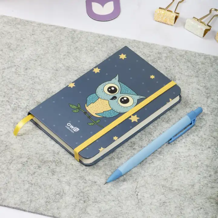 9x14 cm Sert Kapak Çizgili Not Defteri – Tarihsiz Okul Defteri – Baykuş 2