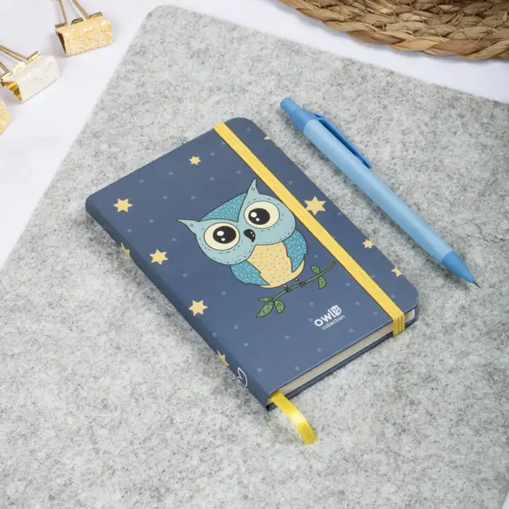 9x14 cm Sert Kapak Çizgili Not Defteri – Tarihsiz Okul Defteri – Baykuş 2